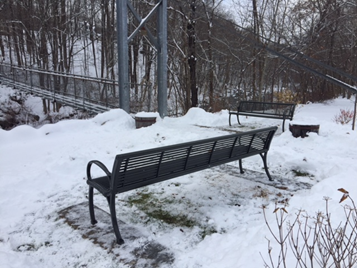 Chester Park Bench