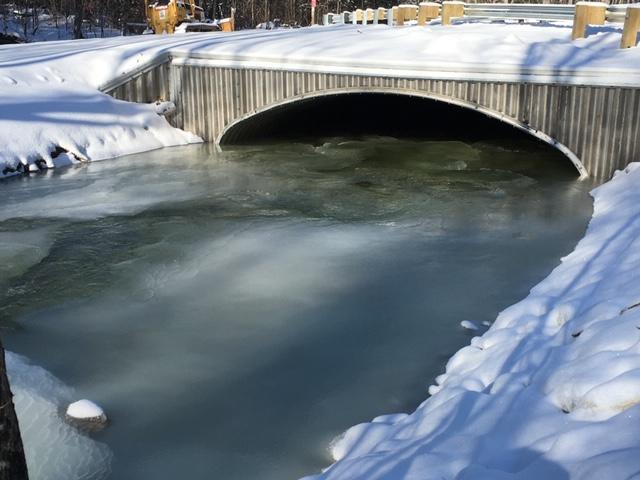 Wildcat bridge/culvert