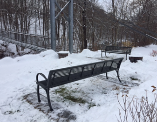 Chester Park Bench